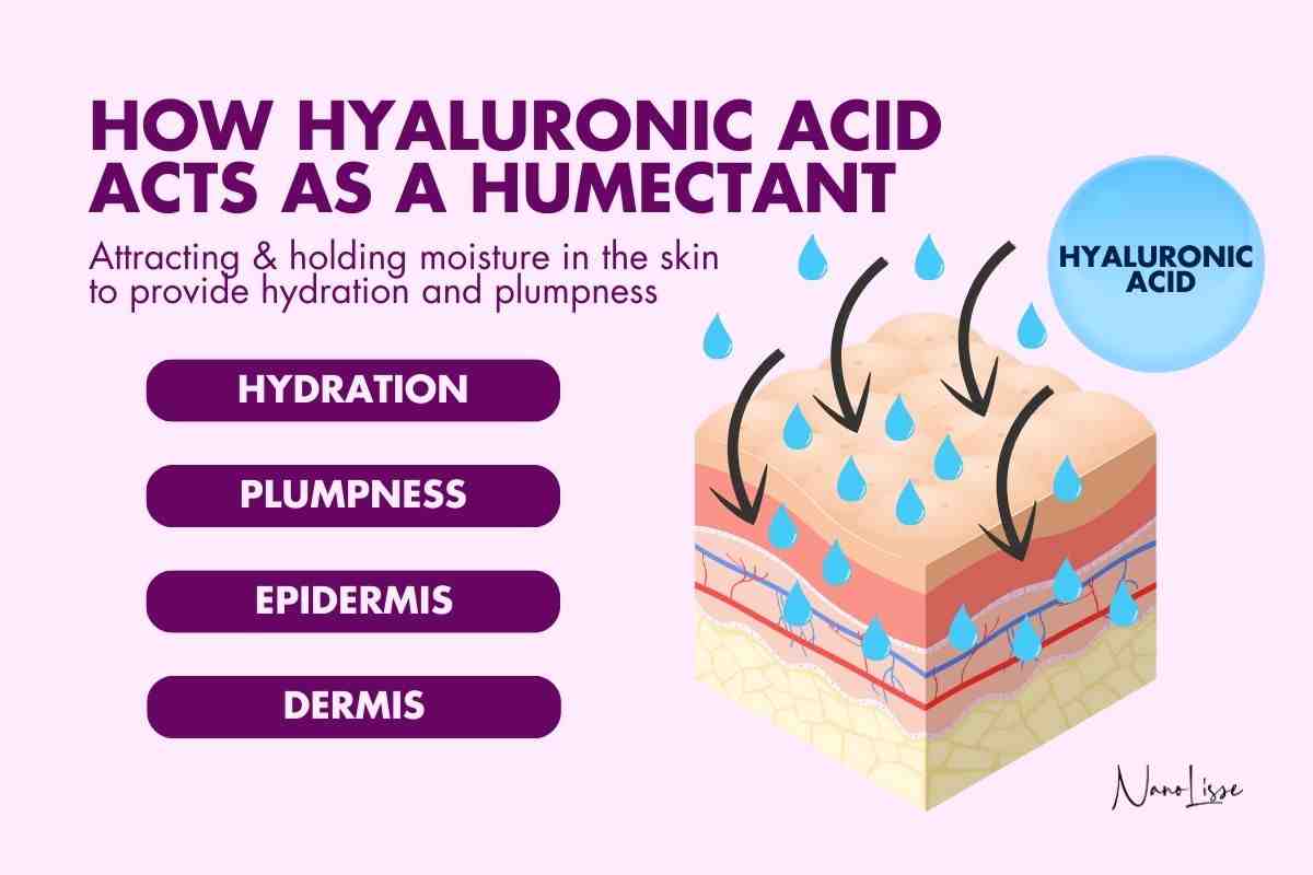 Infographic showing how hyaluronic acid acts as a humectant by attracting and holding moisture in the skin to improve hydration, plumpness, and elasticity.
