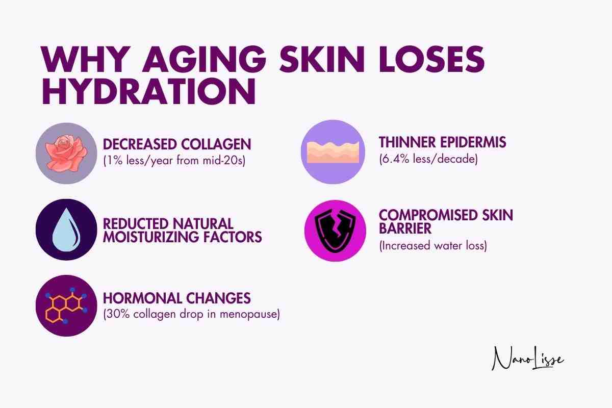 Infographic for Hydration for aging skin: less collagen, thinner epidermis, reduced NMF, weak barrier, hormonal changes.