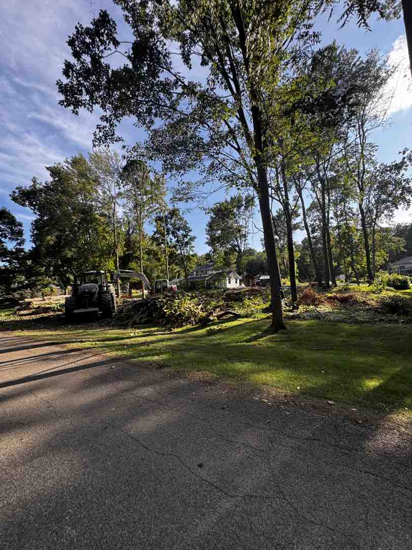 a beautiful home in Shipshewana, IN, with well-manicured, mature trees enhancing its aesthetic - canopy reduction for Northern Indiana