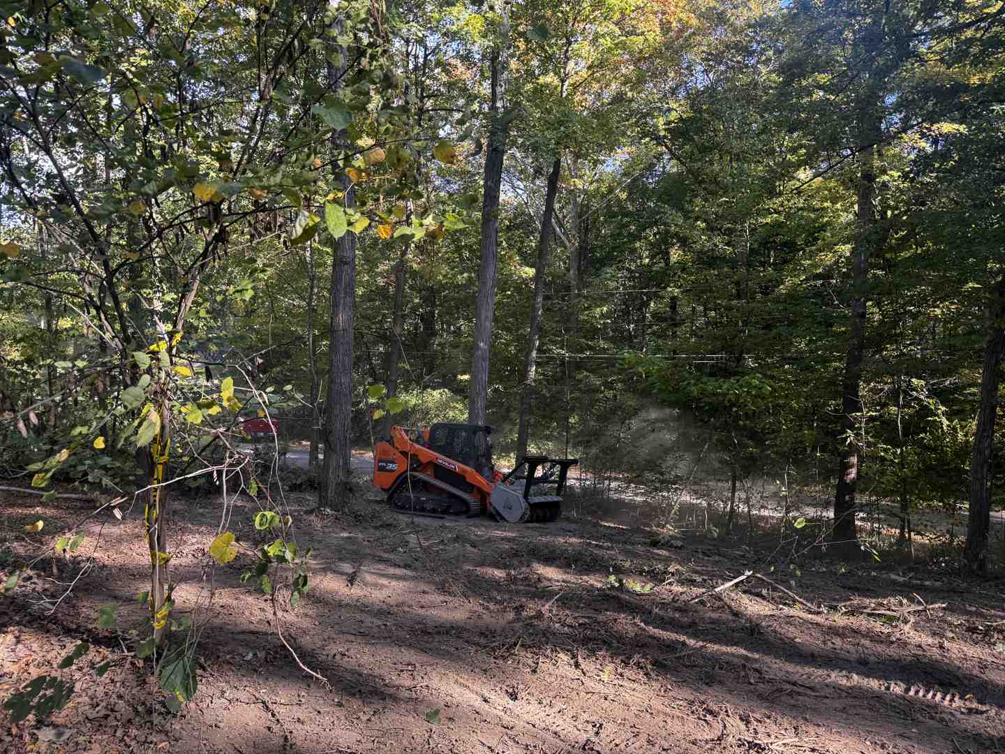 A skid steer with a mulcher tackling a thicket of invasive Buckthorn, demonstrating efficient vegetation removal - mechanical mulching in Southern Michigan