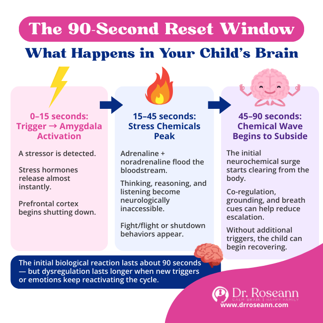 user-inserted Infographic listing 4 practical steps on how to manage emotional dysregulation: Validate Emotions, Model Healthy Coping, Set Clear Boundaries, and Teach Problem-Solving (After Calm).