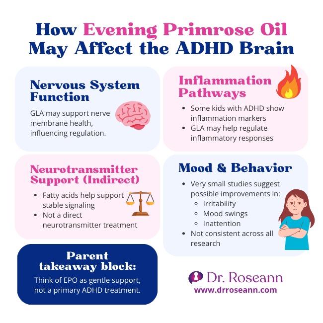 infographic listing effects of evening primrose oil to adhd brain