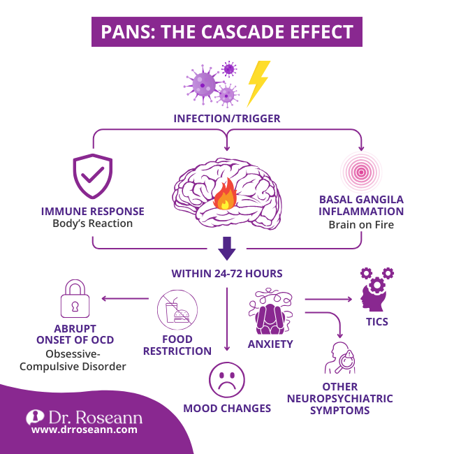 user-inserted infographic showing symptoms development for PANS diagnosis and treatment