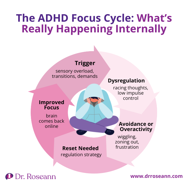 A cyclical diagram illustrating The ADHD Focus Cycle, showing the steps from Trigger (sensory overload, demands) to Dysregulation, Avoidance/Overactivity, Reset Needed, and finally Improved Focus, explaining the internal mechanisms behind ADHD lack of focus.