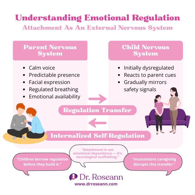 Understanding Attachment: What is Emotional Regulation? Infographic explaining what is emotional regulation through parent-child nervous system co-regulation.