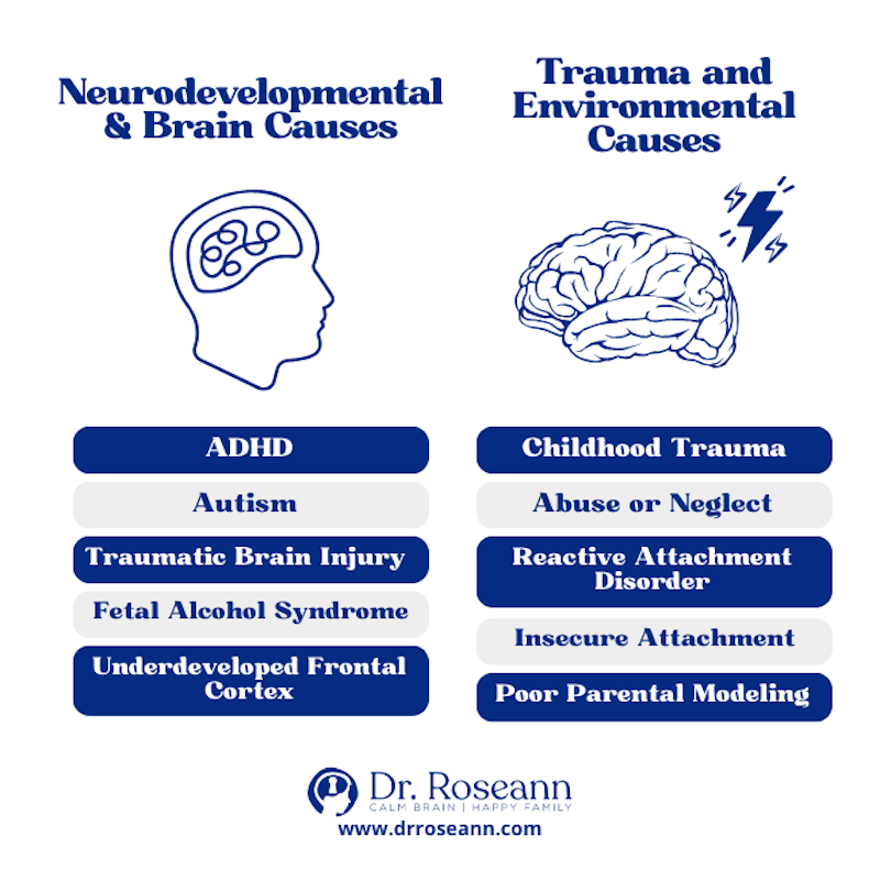 causes of behavioral dysregulation definition, including Neurodevelopmental/Brain Causes and Trauma/Environmental Causes 