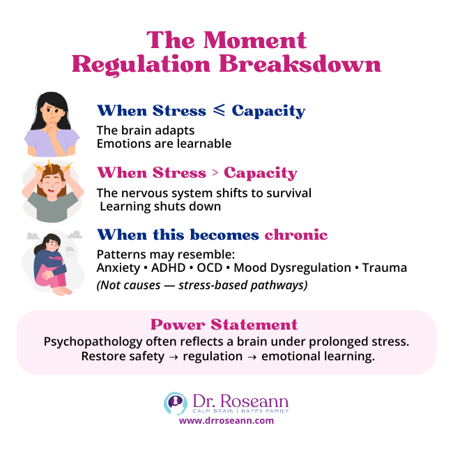 Development of Emotion Regulation and Dysregulation: Stress vs Capacity Development of Emotion Regulation and Dysregulation: stress overload chart