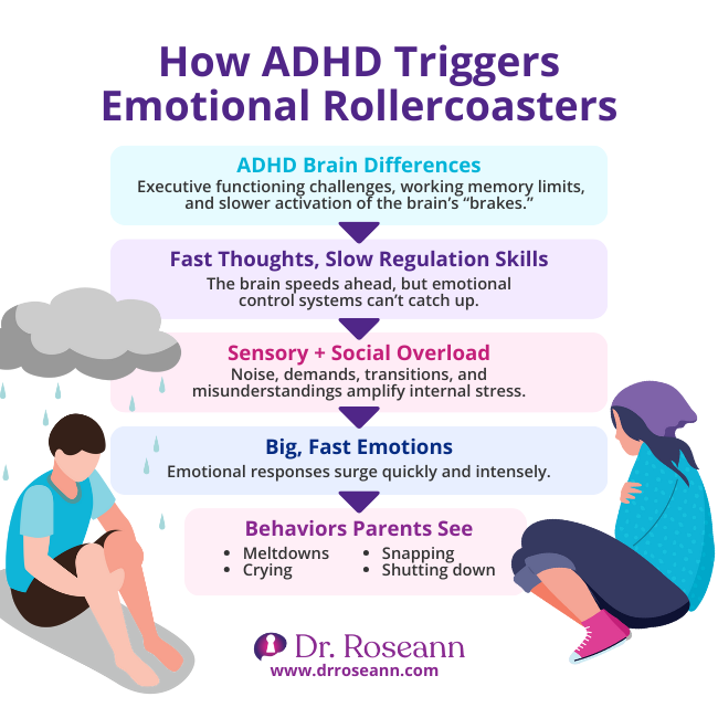 Flowchart showing how ADHD brain differences (executive challenges, slow "brakes") lead to fast thoughts, sensory overload, and big, intense emotions, answering can ADHD cause emotional dysregulation.