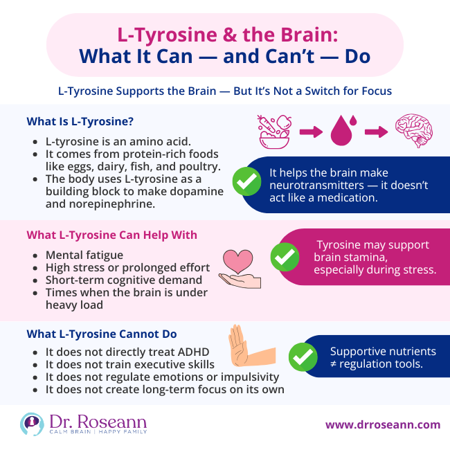 An infographic about L-Tyrosine, clarifying that it is an amino acid that helps the brain make dopamine, supports brain stamina during stress, but L Tyrosine Adderall substitute claims are inaccurate as it does not directly treat ADHD or regulate impulsivity on its own.