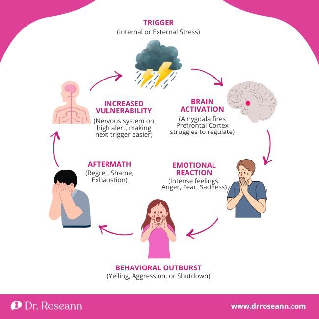 Infographic showing the six stages of the pervasive emotional dysregulation cycle, from trigger to aftermath.