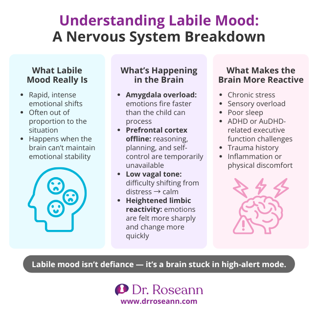  Infographic explaining labile in mood (rapid, intense emotional shifts) as a nervous system breakdown, detailing the brain processes (amygdala overload, prefrontal cortex offline) and causes (chronic stress, poor sleep).