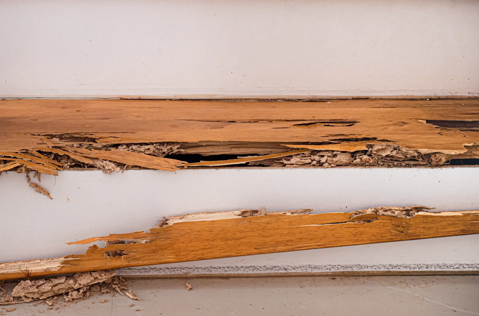 Close-up of wooden stairs severely damaged by termites, with hollowed-out and broken timber caused by pest infestation.