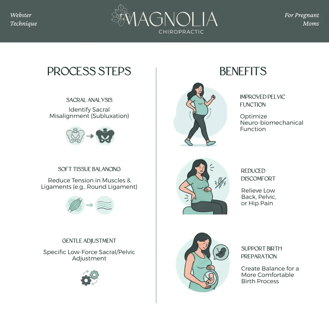 Infographic showing the Power Passage Passenger concept of birth and how the Webster Technique supports each factor - The