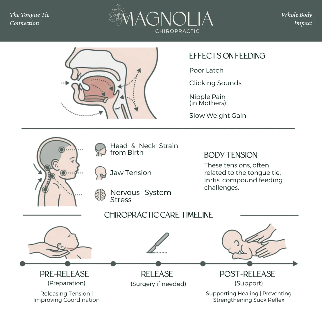 Infographic showing how tongue ties affect feeding, body tension, and chiropractic care timeline - Tongue Ties, Feeding Infographic showing how tongue ties affect feeding, body tension, and chiropractic care timeline - Tongue Ties, Feeding