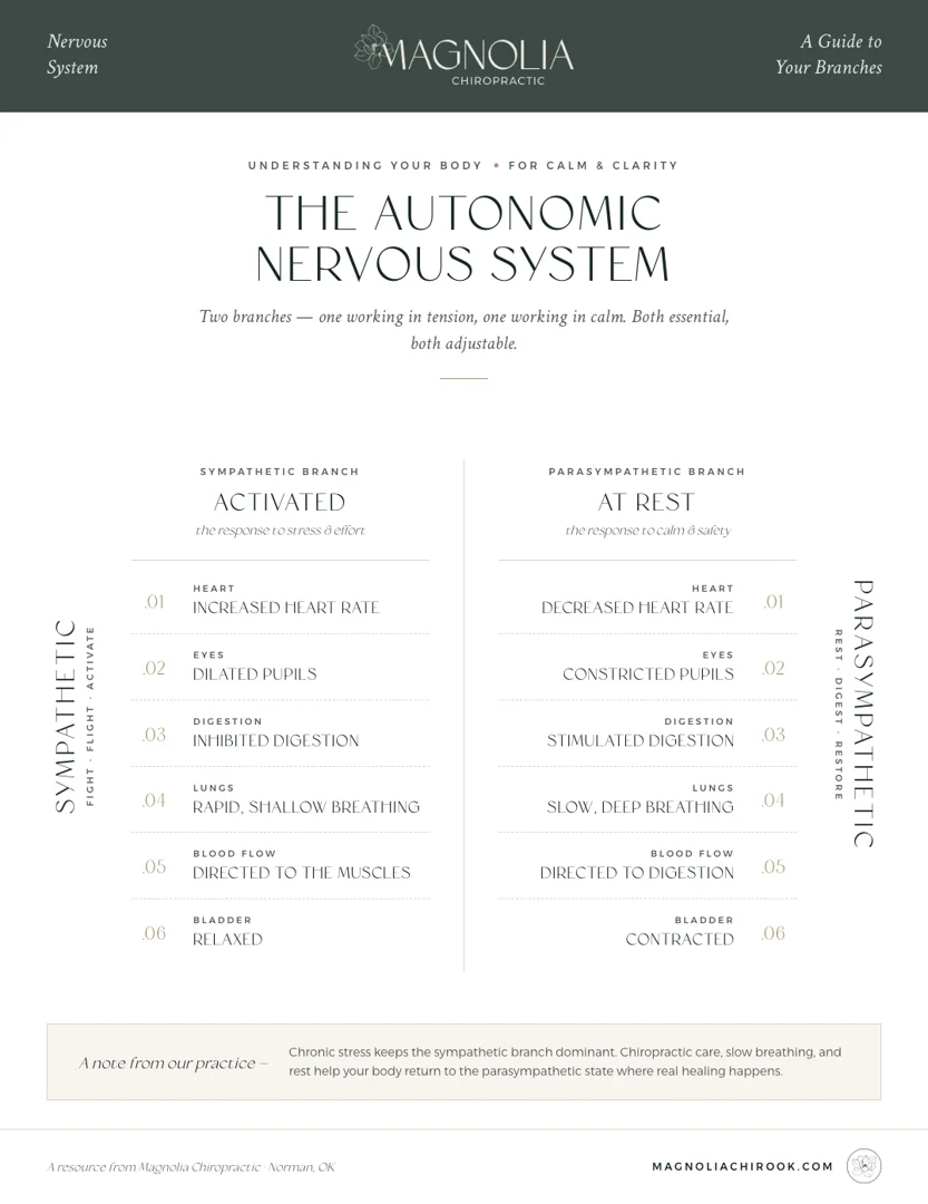 Infographic showing sympathetic fight-or-flight vs parasympathetic rest-and-digest nervous system branches - Common Signs