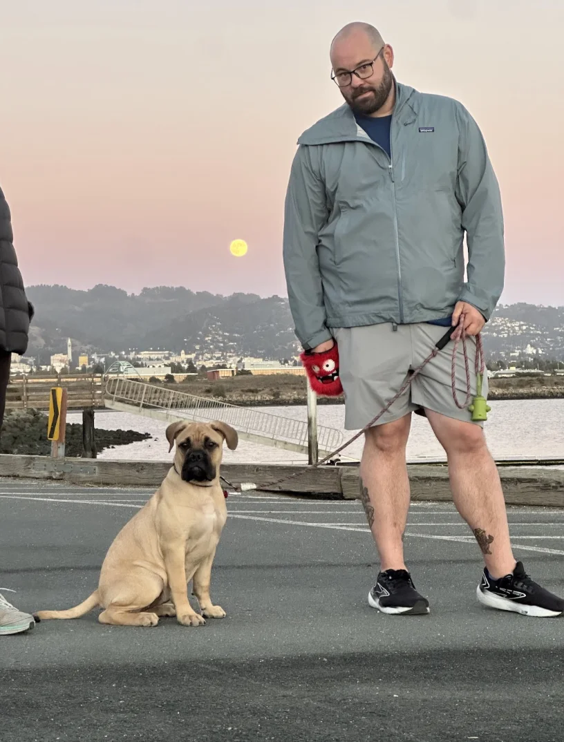 private dog training session in the bay