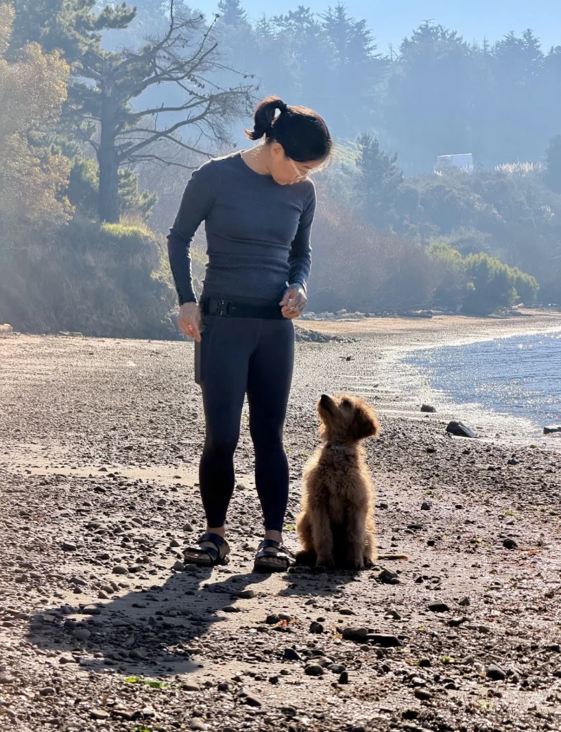 Professional dog trainer working with a dog outdoors Professional dog trainer working with a dog outdoors