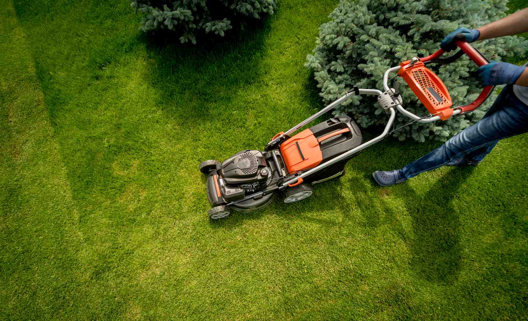 battery powered lawn mower in action - eco friendly lawn care