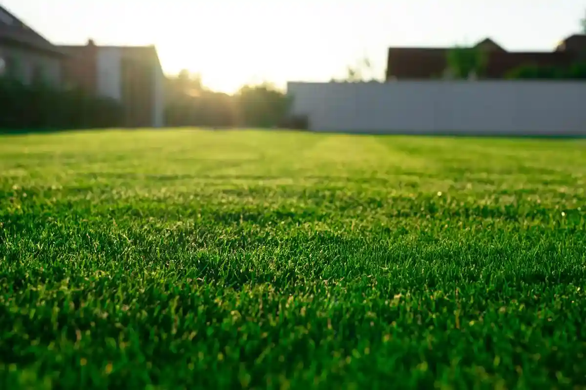 Clean yard with a small access point for trenchless repair - drain repair specialists Clean yard with a small access point for trenchless repair - drain repair specialists