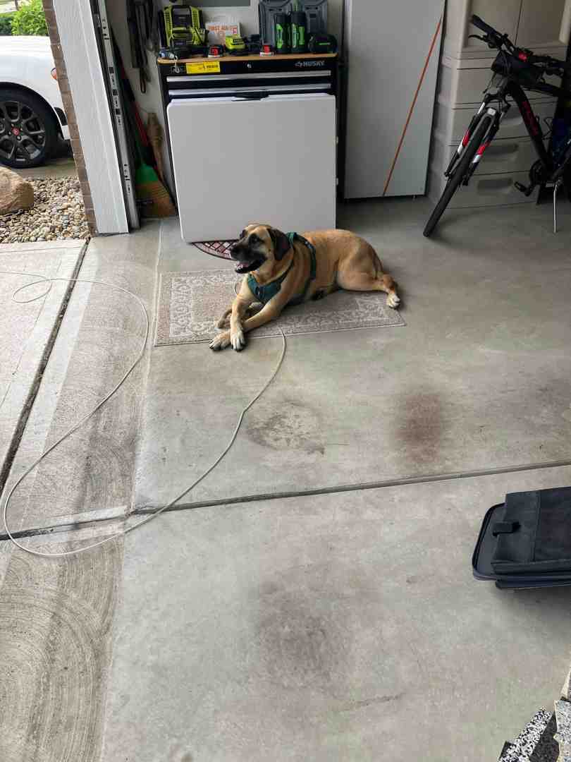 Industrial warehouse floor coated with polyurea shop floor system, designed for heavy equipment and high durability. - Concrete floor solutions Industrial warehouse floor coated with polyurea shop floor system, designed for heavy equipment and high durability. - Concrete floor solutions