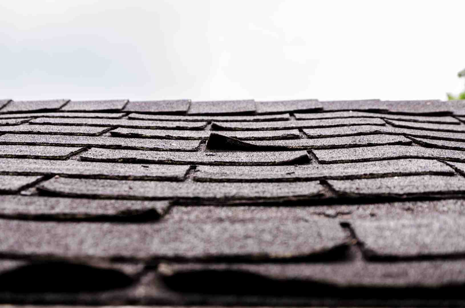 curling asphalt shingles with visible granule loss in a gutter - i need a roofer curling asphalt shingles with visible granule loss in a gutter - i need a roofer