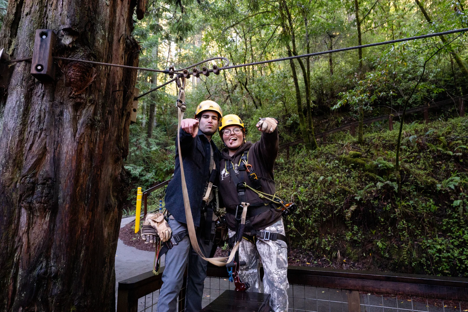 professional group meeting in a sunlit redwood forest - corporate workshop venue
