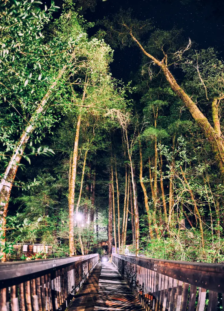 headlamp with red light setting - night hike headlamp with red light setting - night hike