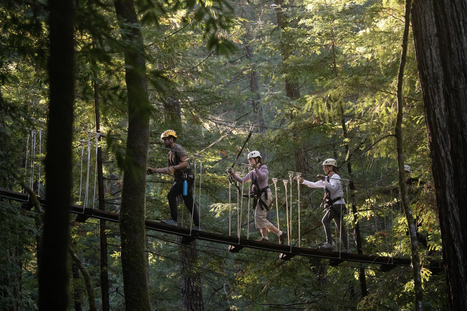 a serene Redwoods forest landscape - executive retreat center