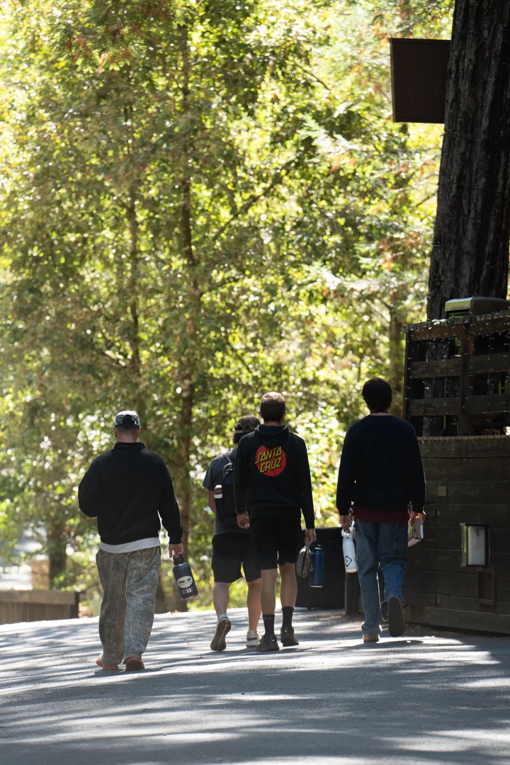 men walking on a forest trail