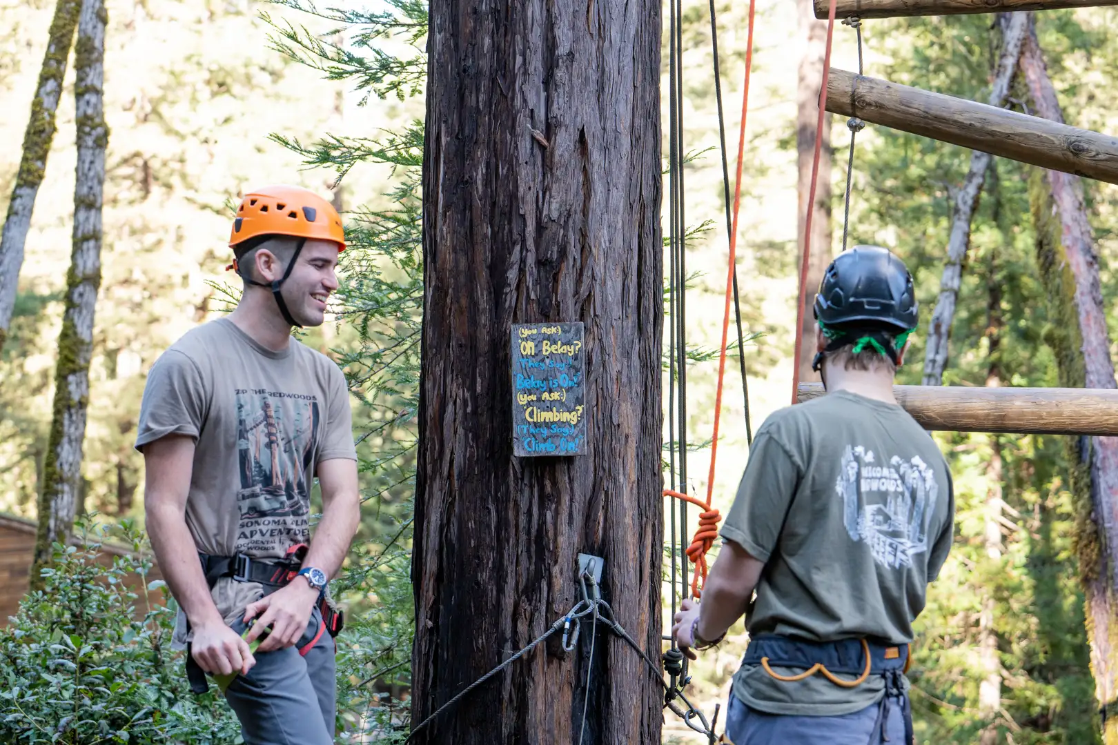 group participating in a high-ropes course - corporate retreat in northern california