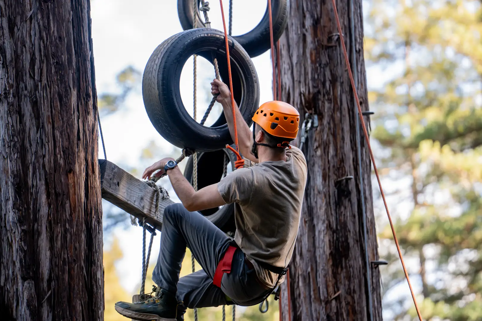 group ziplining - corporate retreat sonoma county