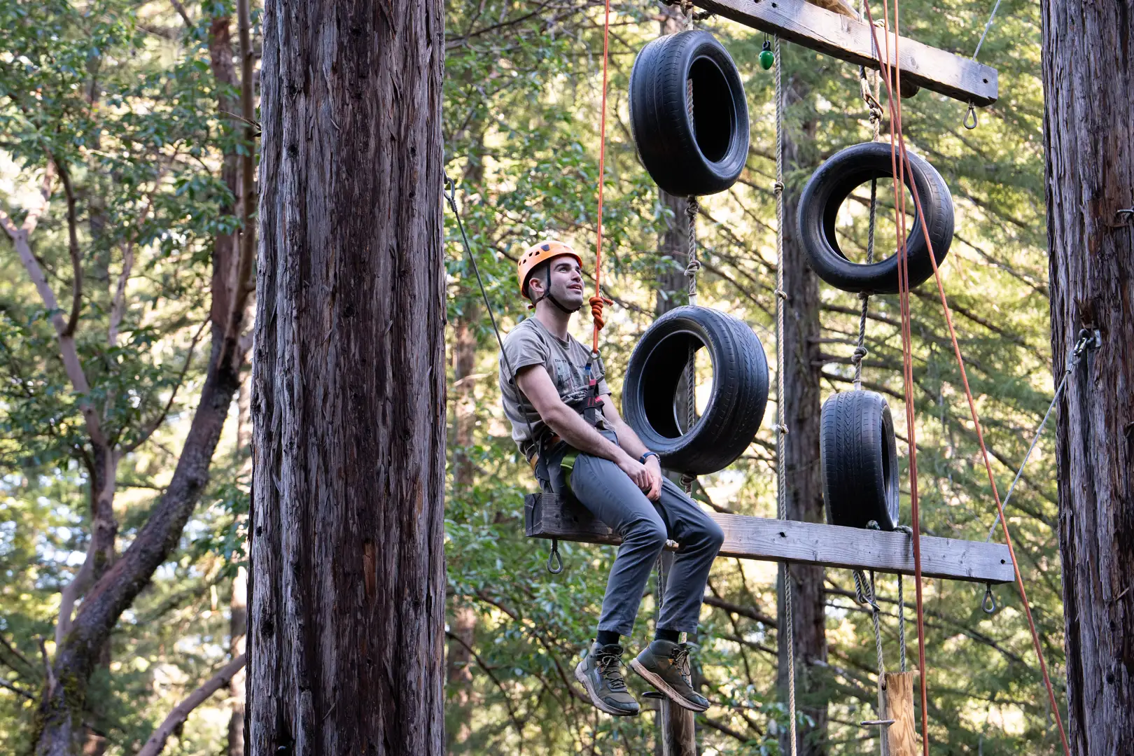 Alliance Redwoods man on challenge course adventure in nature - business retreat locations near me