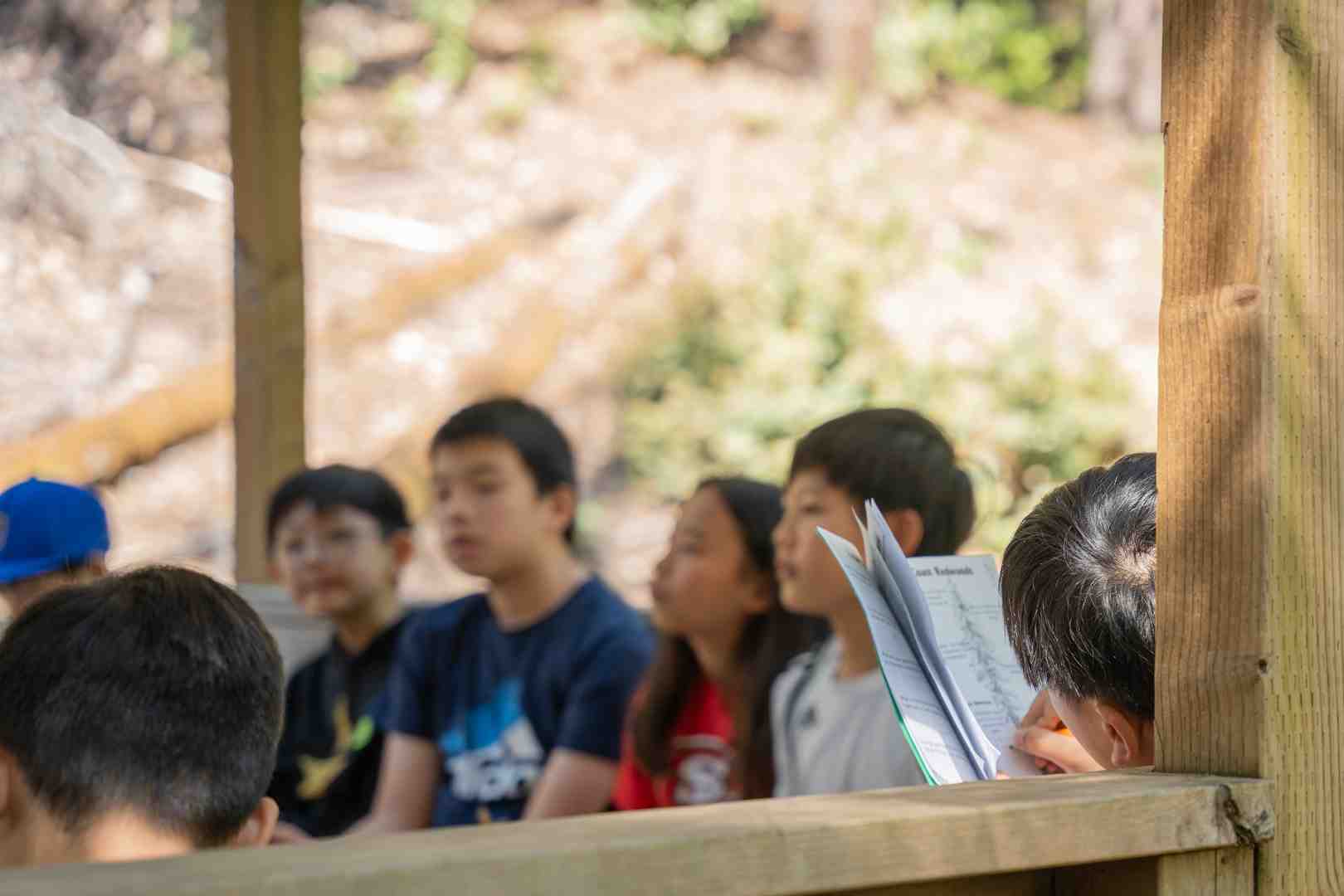 education and environment