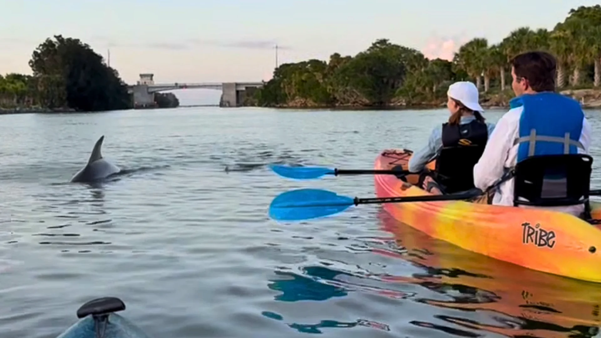 sunset kayak tour sunset kayak tour