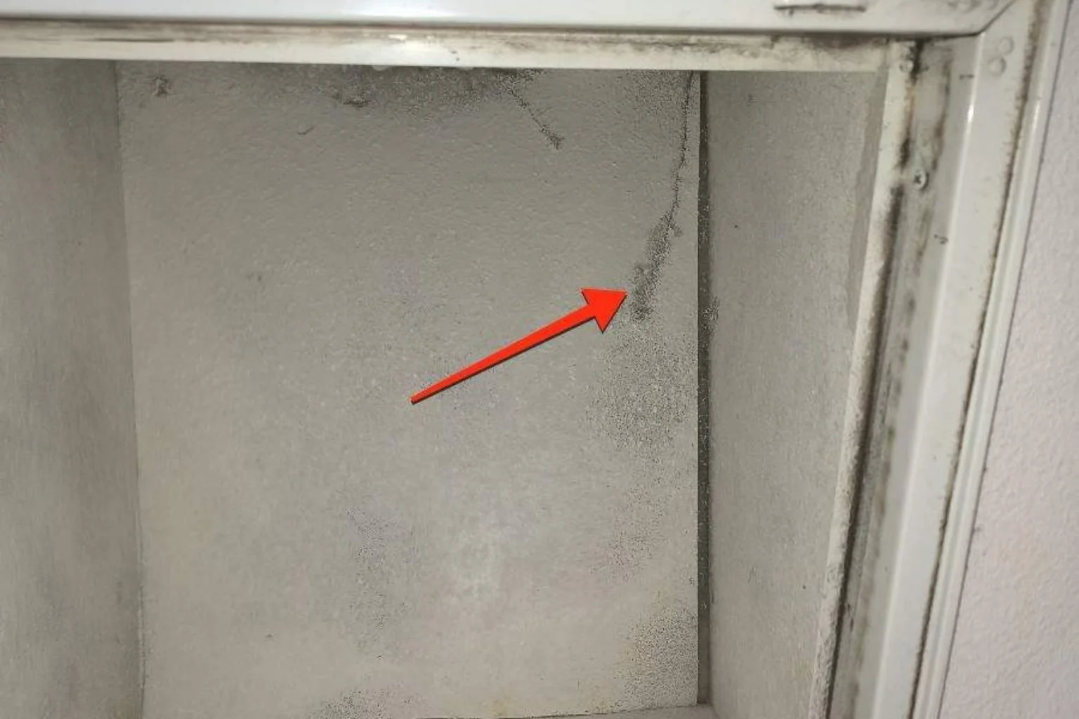 user-inserted Mold growing on attic access panel, indicating a common type of mold in homes.