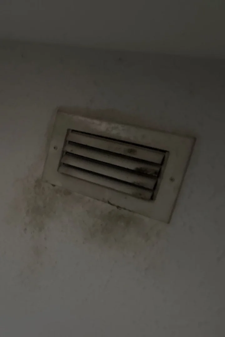 user-inserted Mold growing on a ceiling vent, a common sign of types of mold in homes.
