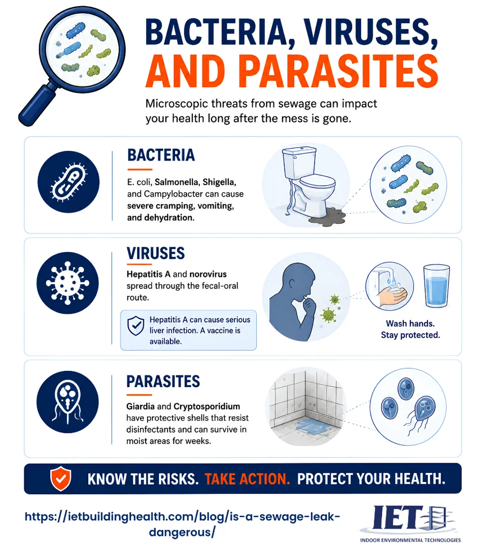 Category 3 black water damage assessment on Florida residential flooring and drywall, highlighting microbial growth risks. Category 3 black water damage assessment on Florida residential flooring and drywall, highlighting microbial growth risks.