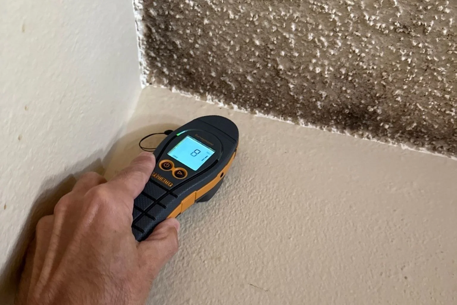 user-inserted Mold growth on a baseboard and wall, indicating moisture issues in a home.