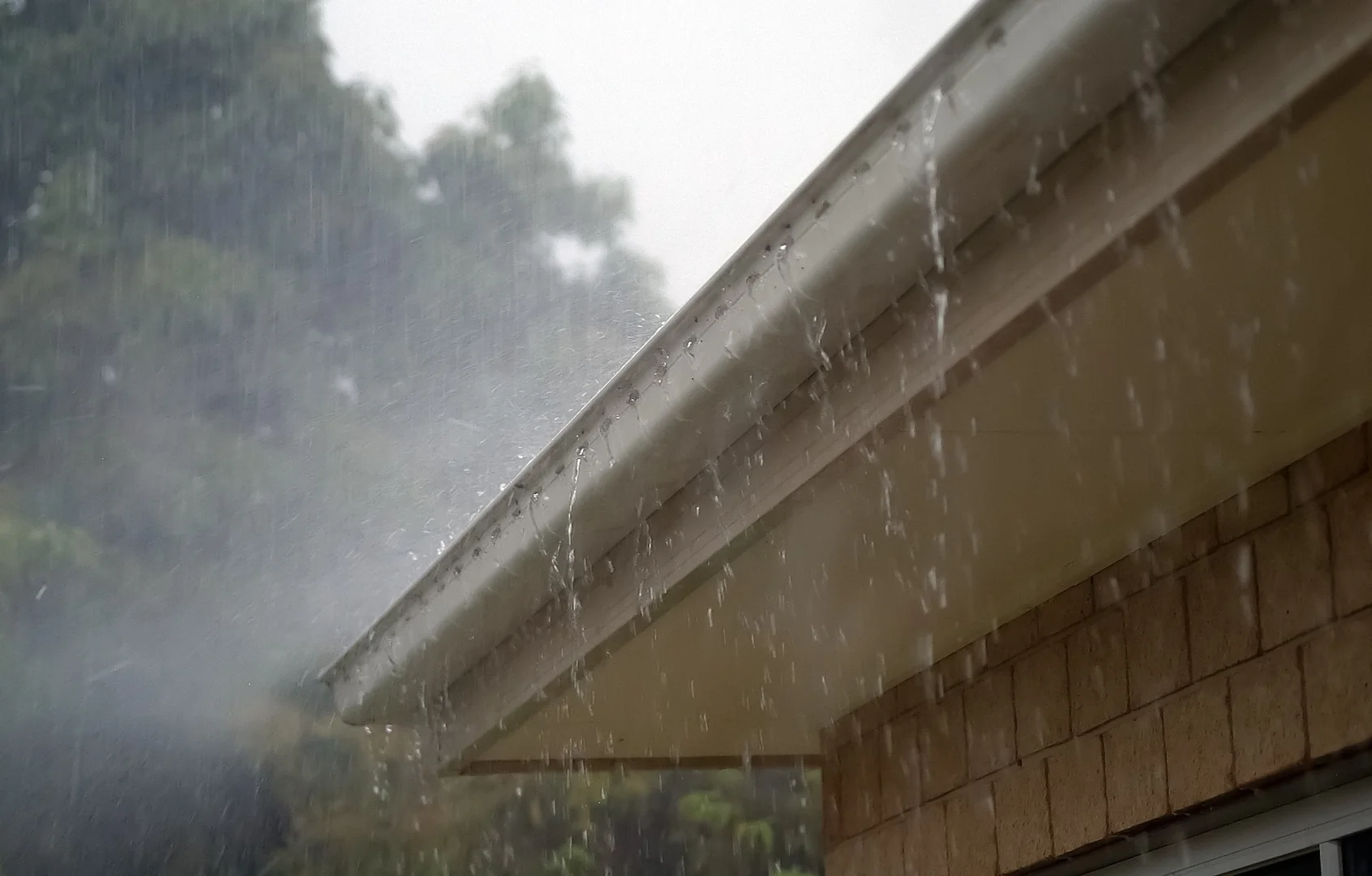 Massive tropical downpour can cause temporary signal drops to your Starlink device.