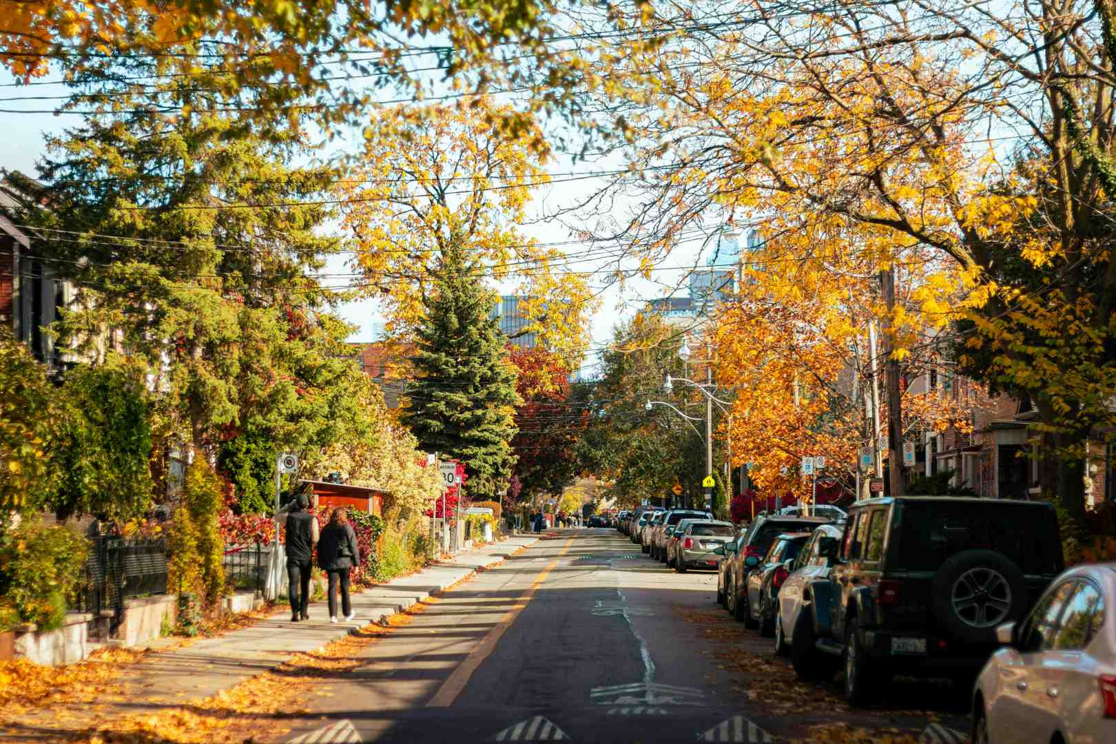 tree-lined residential street in Toronto - family accommodation Toronto; photo credit: Anurag Jamwal
