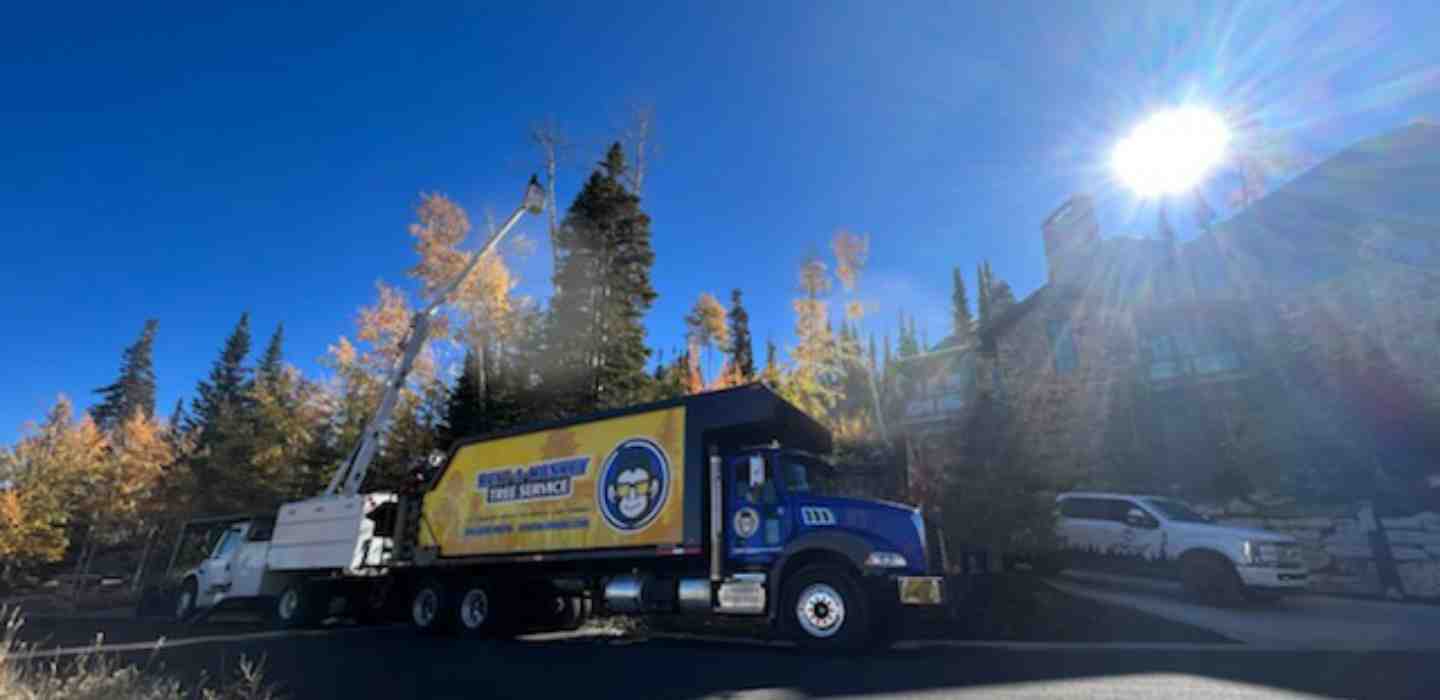 Beautifully landscaped residential yard with newly planted trees and professional landscaping after tree removal - tree removal salt lake city