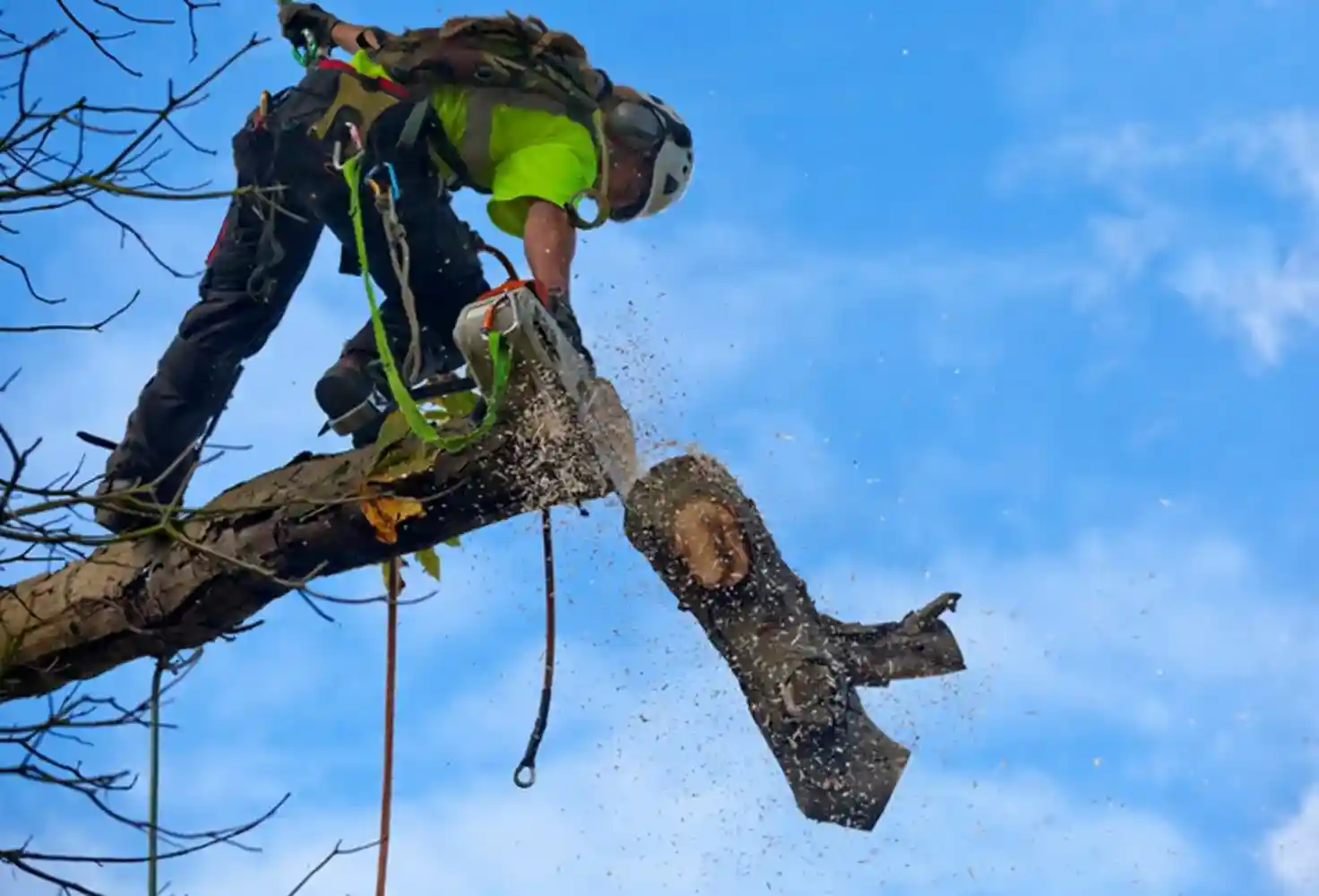 certified arborist in full safety gear operating a chainsaw on a large branch - emergency tree removal in salt lake city ut