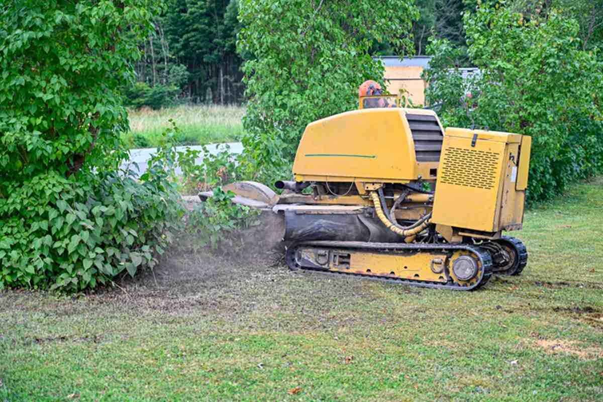 Professional stump grinder in action removing tree stump from residential yard - tree removal salt lake city