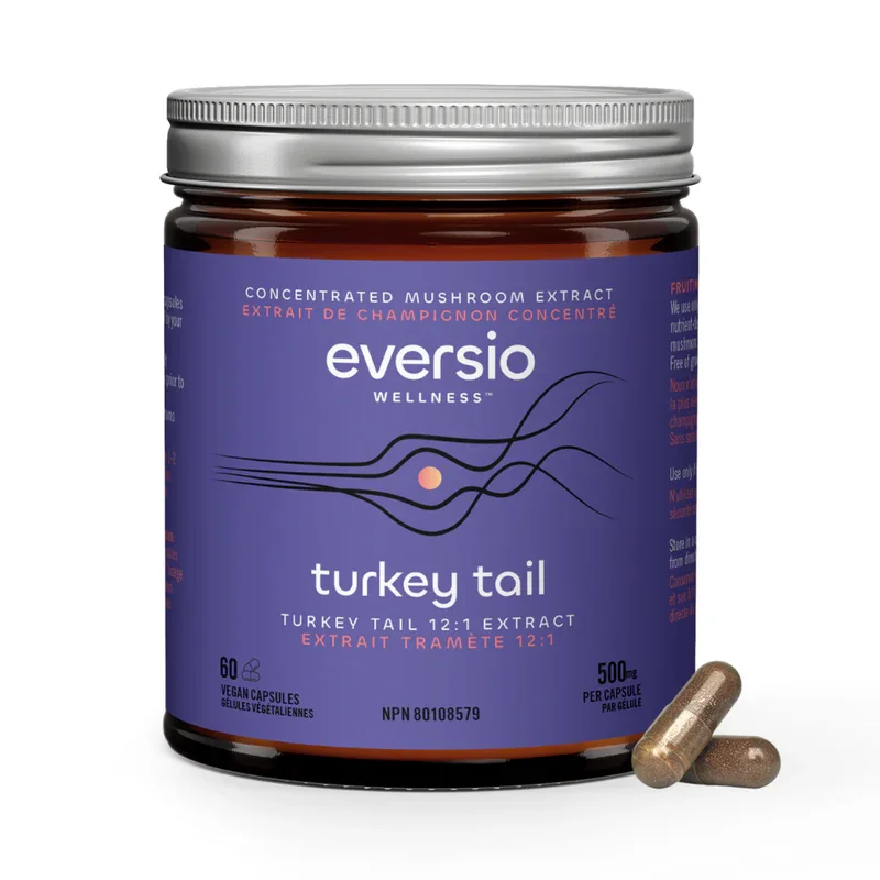 Professional studio shot of the turkey tail medicinal 12:1 extract product jar, showcasing its vegan capsules for superior health and immune function.