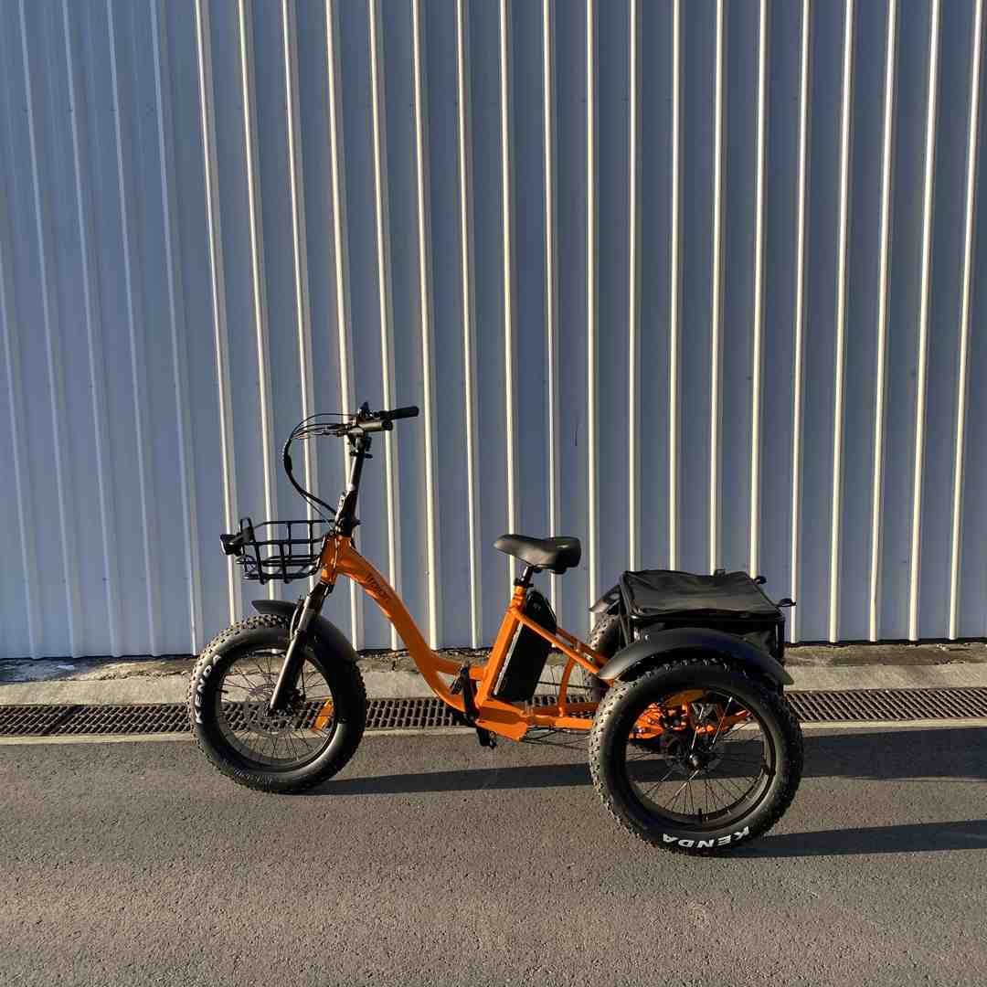 e-trike's user-friendly display and controls - adult electric tricycle