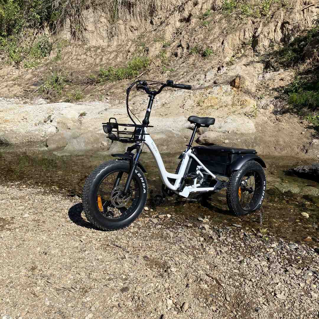 Trojan Family Fat Tyre Electric Tricycle