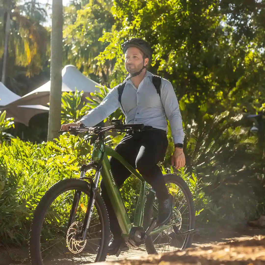 Velectrix Ascent Pulse X Velectrix Ascent Pulse X