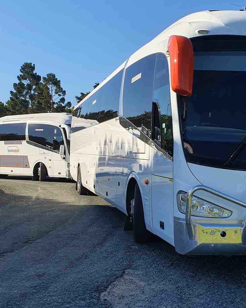 Professional lineup of minibuses and coaches showing different vehicle sizes and types - Bus rental with driver