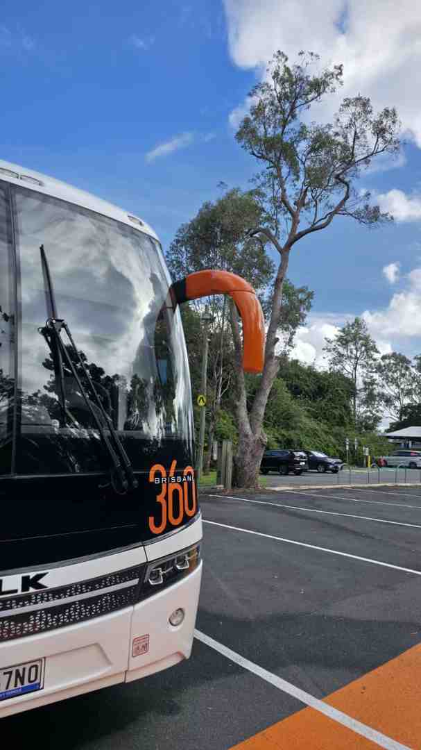 mini bus near me - mini bus near me