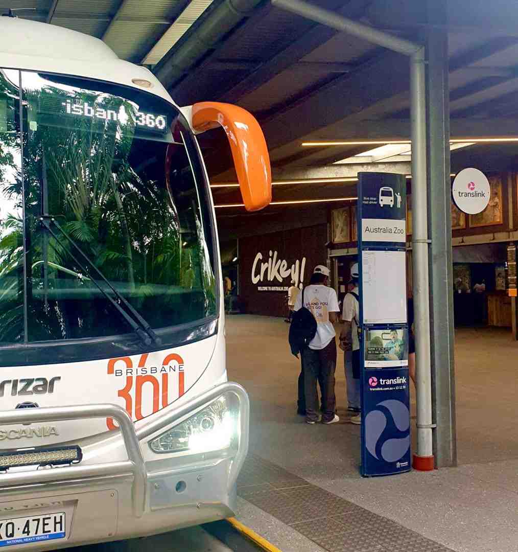 Mini, midi and full-size coaches side by side - corporate bus charters Gold Coast
